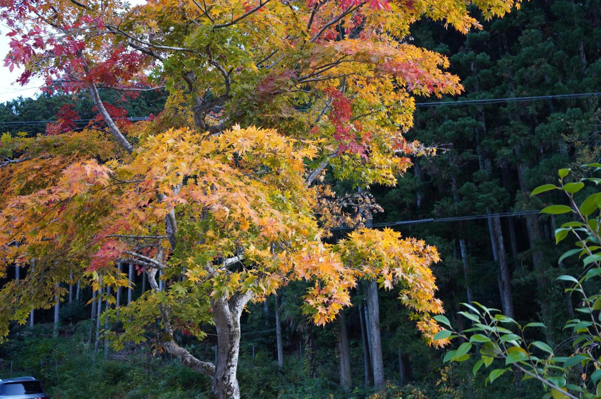 Satoyama Hotel Kanenone Tamba Maibara Extérieur photo