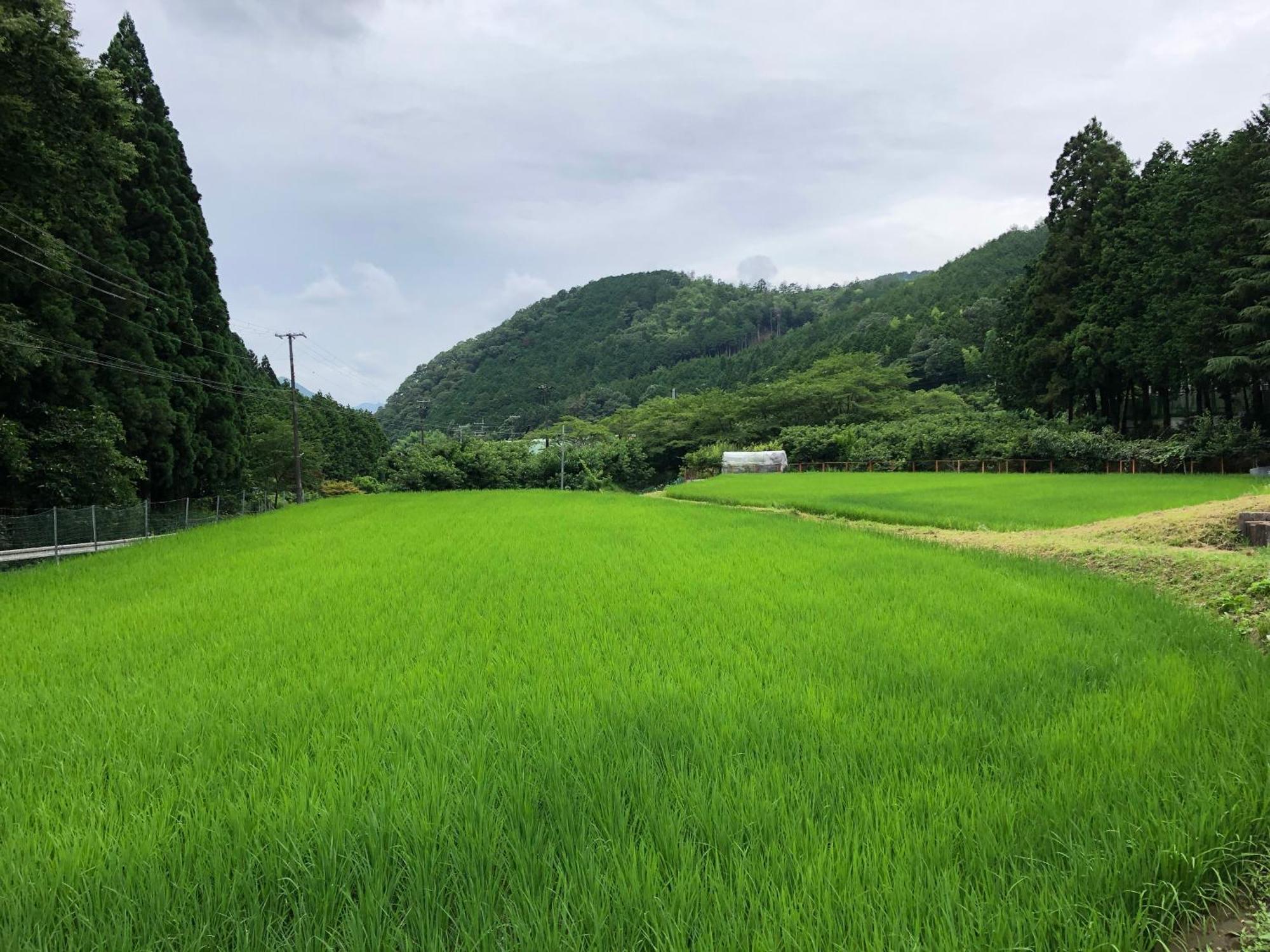 Satoyama Hotel Kanenone Tamba Maibara Extérieur photo