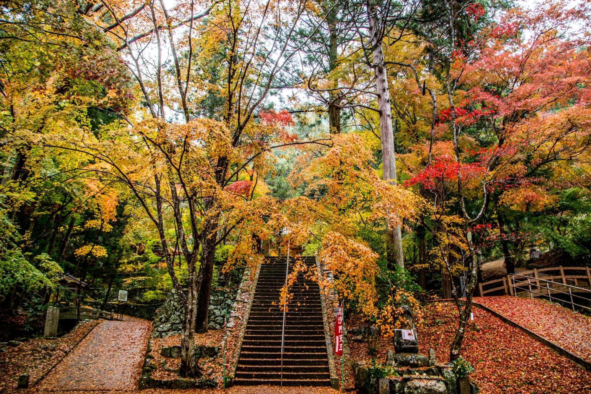 Satoyama Hotel Kanenone Tamba Maibara Extérieur photo